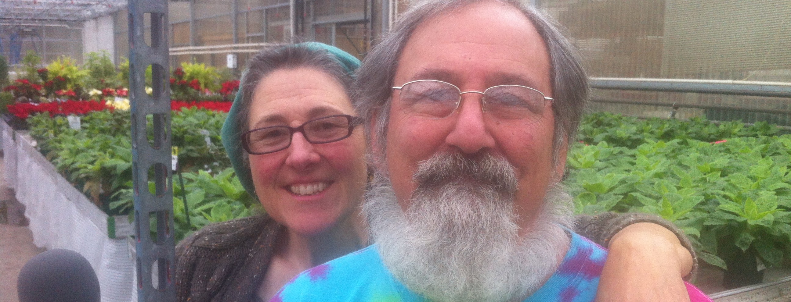 Farming under Glass- Peace Tree Farm