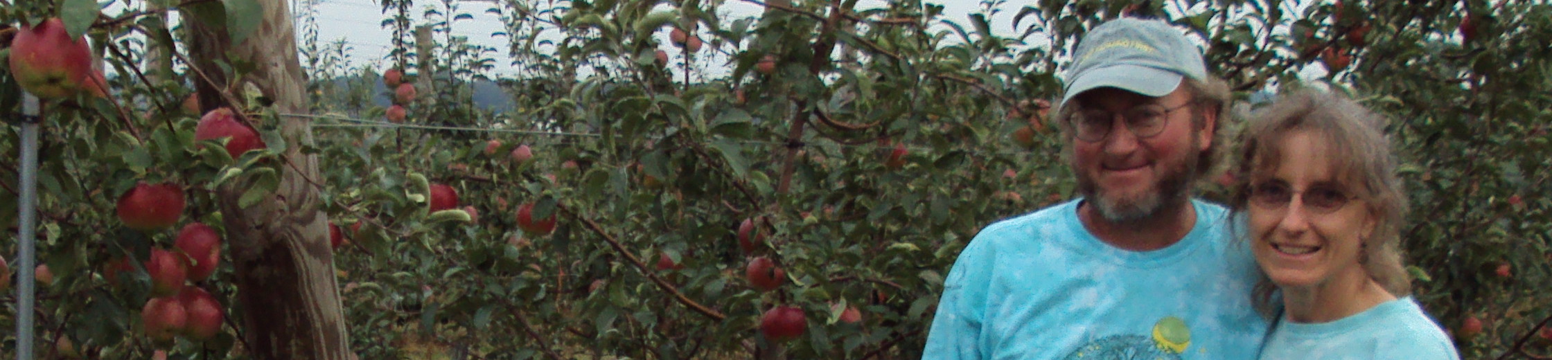 Fruit Geeks- Lisa Kershner from North Star Orchard